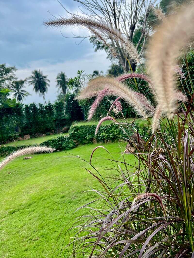 VILS-0059 - Atmospheric tropical 3-bedroom sea view villa with large private pool in Bang Por