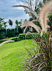 VILS-0059 - Atmospheric tropical 3-bedroom sea view villa with large private pool in Bang Por